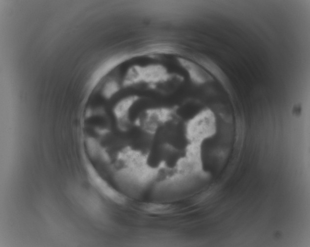 X0000113851439200910221409