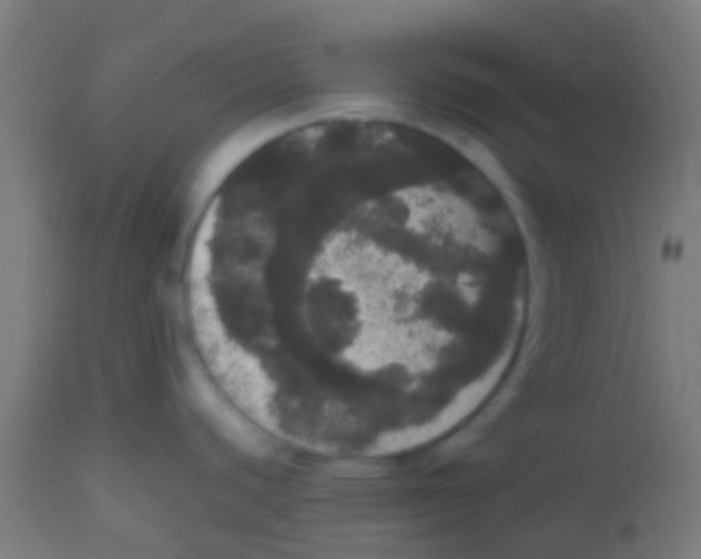 X0000113851440200910221409