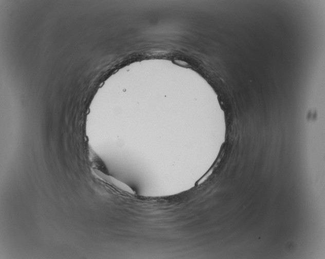 X0000113851441200910221408