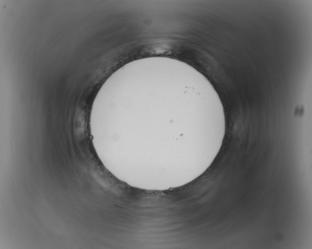 X0000113851442200910221408