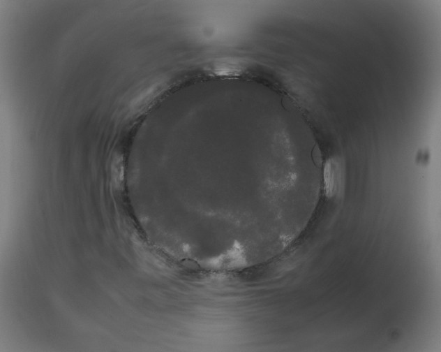 X0000113851443200910221408