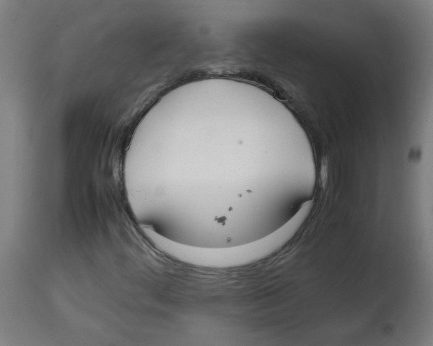 X0000113851444200910221408