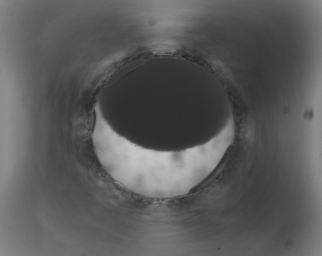 X0000113851445200910221408