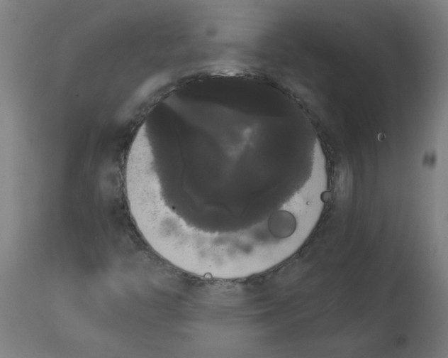 X0000113851446200910221408