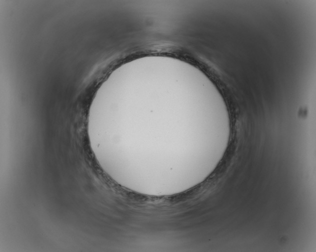 X0000113851447200910221408