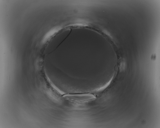 X0000113851448200910221408