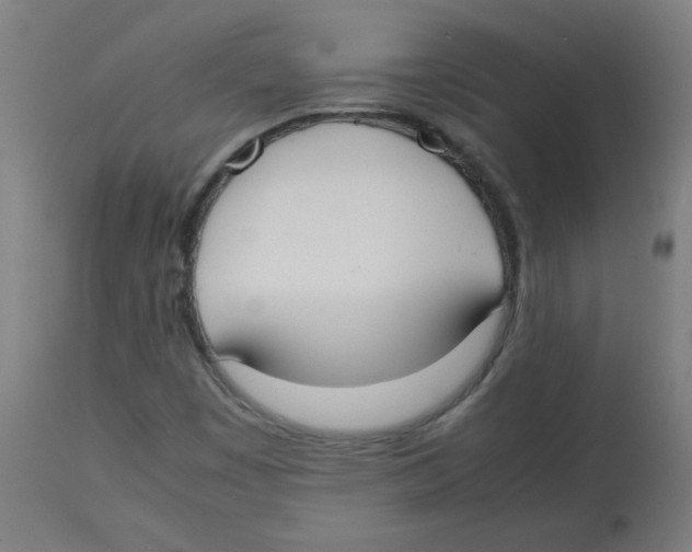 X0000113851449200910221408