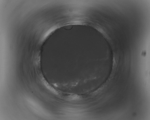 X0000113851450200910221408