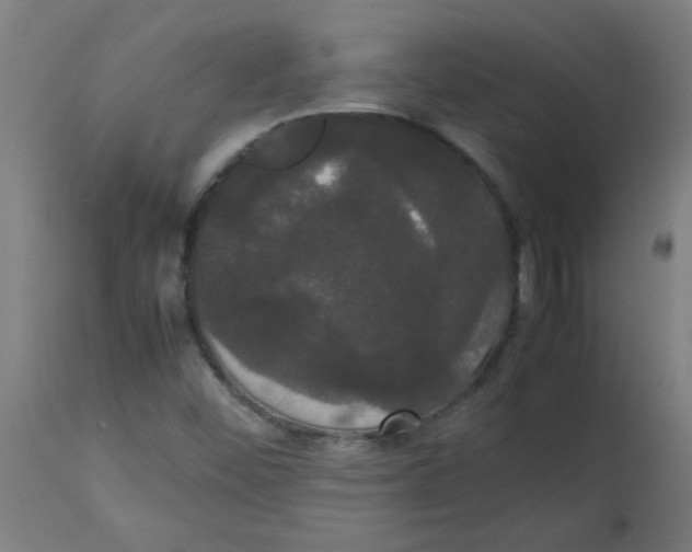 X0000113851452200910221408