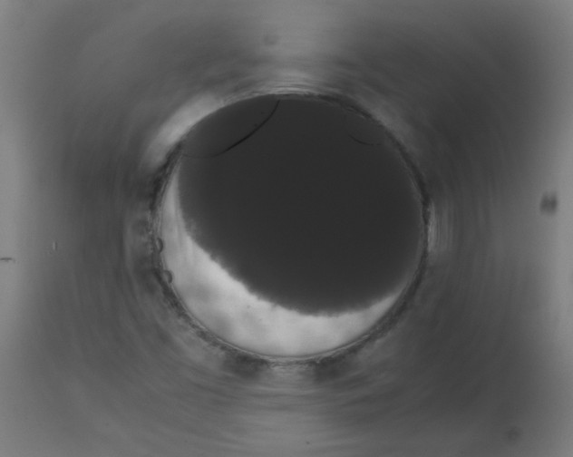 X0000113851453200910221408