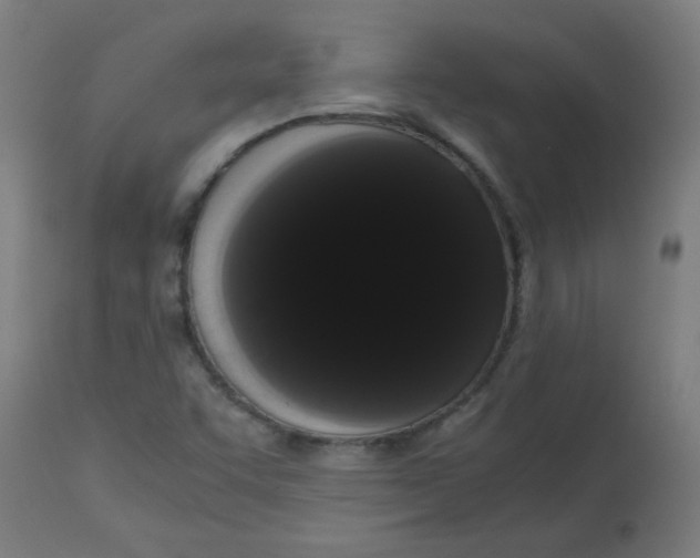 X0000113851455200910221408