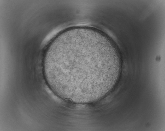 X0000113851456200910221408