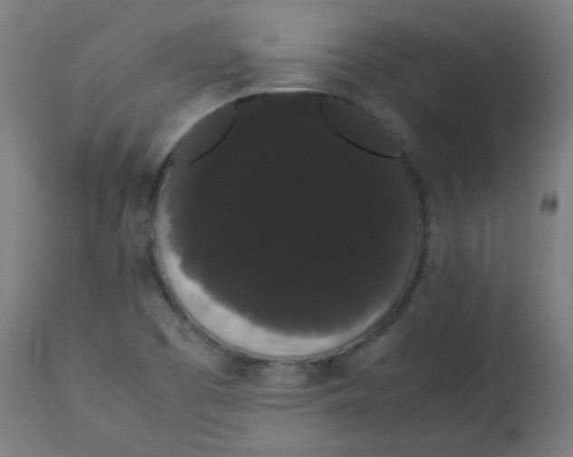 X0000113851457200910221408