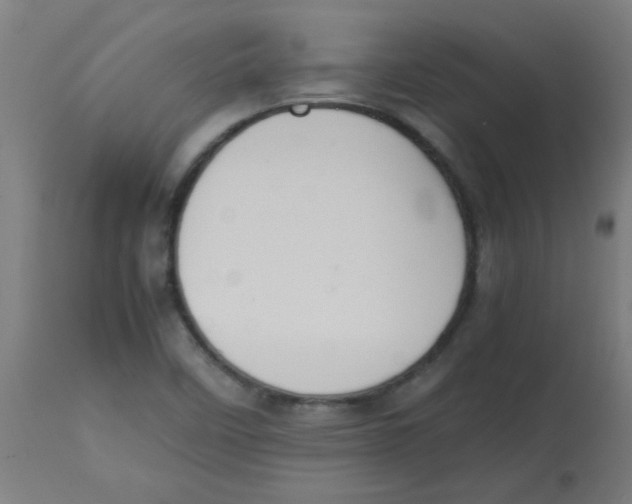 X0000113851458200910221408