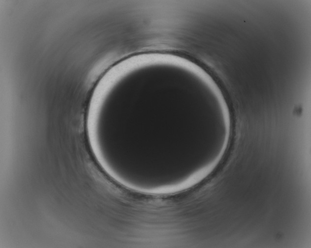 X0000113851459200910221408