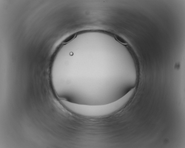 X0000113851460200910221408