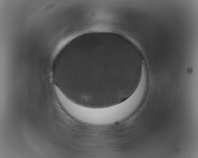 X0000113851461200910221408