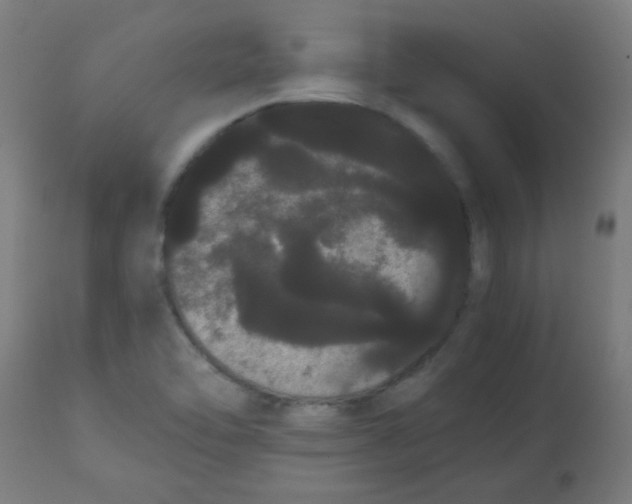 X0000113851462200910221408