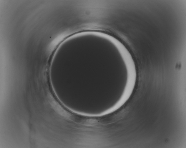 X0000113851463200910221408