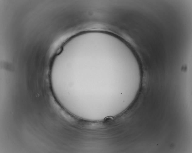 X0000113851464200910221408