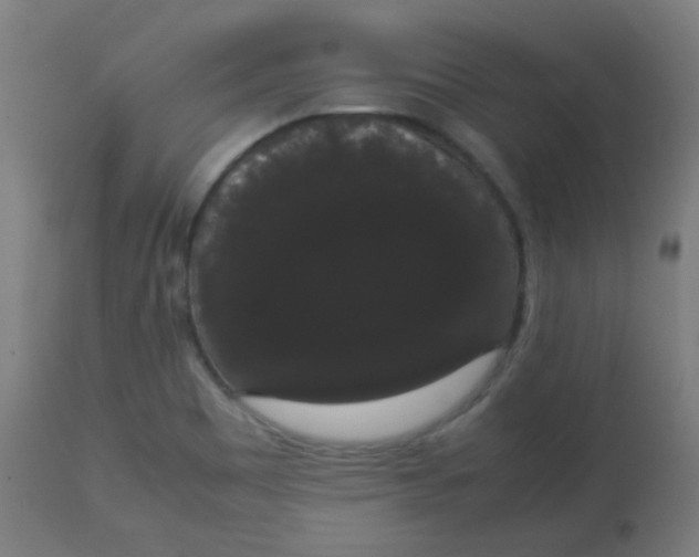 X0000113851465200910221408