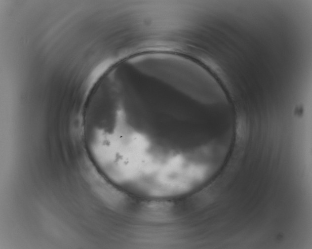 X0000113851466200910221408