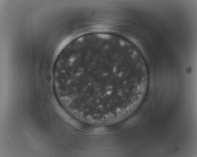 X0000113851467200910221408