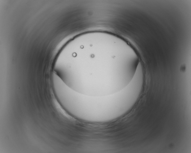 X0000113851468200910221408