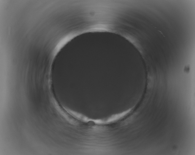 X0000113851469200910221408