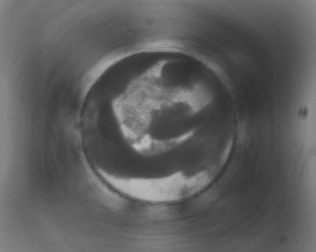 X0000113851470200910221408