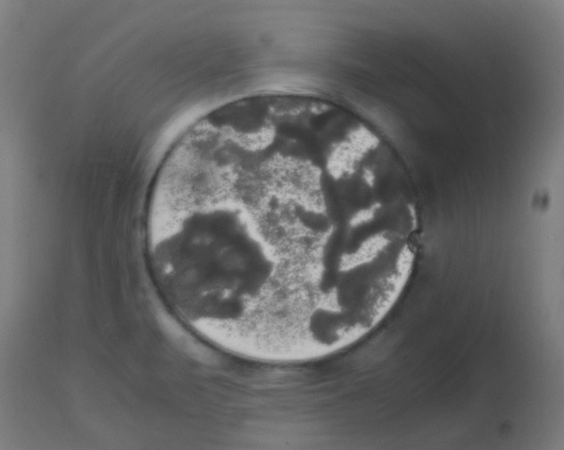 X0000113851471200910221408