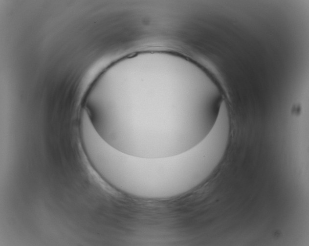 X0000113851472200910221408