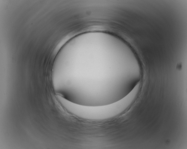 X0000113851473200910221408