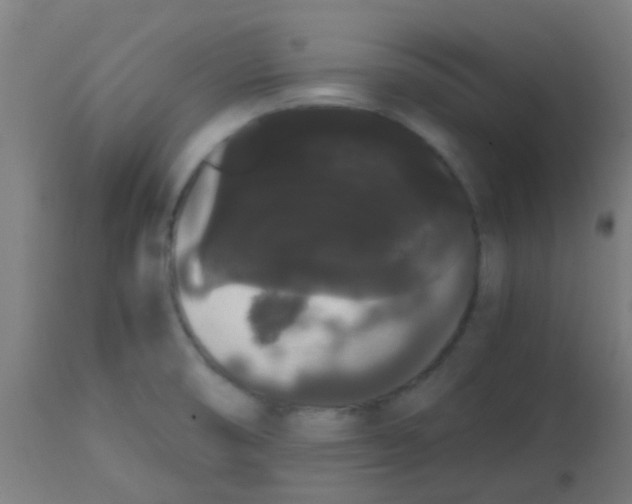 X0000113851474200910221408