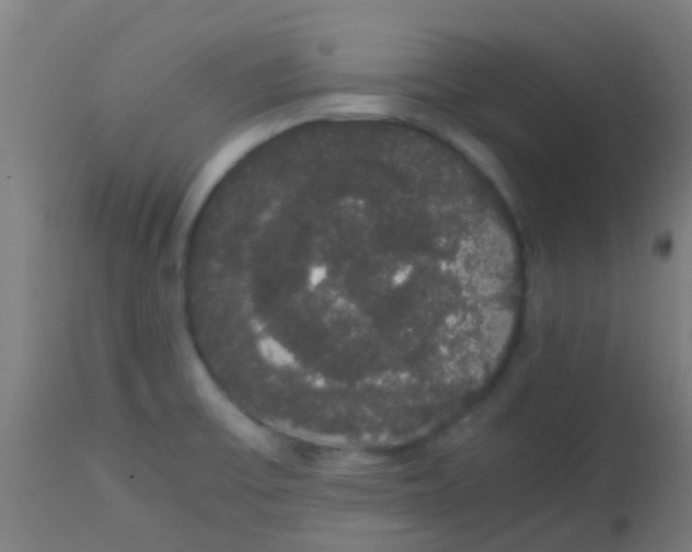 X0000113851475200910221408