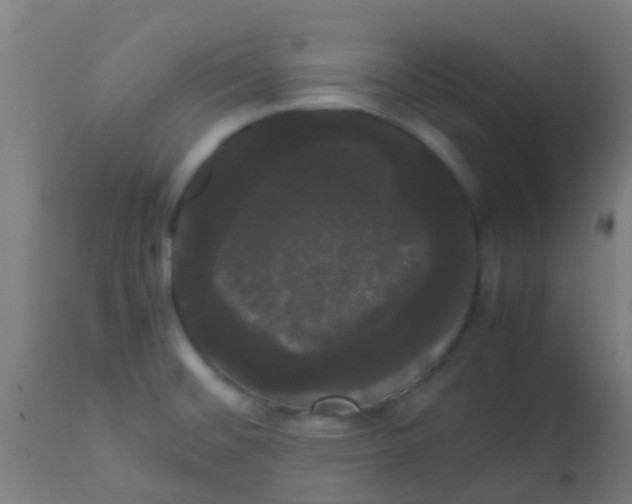 X0000113851476200910221408