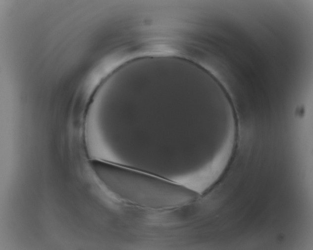 X0000113851477200910221408