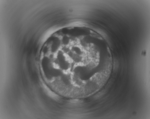 X0000113851478200910221408