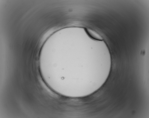 X0000113851479200910221408