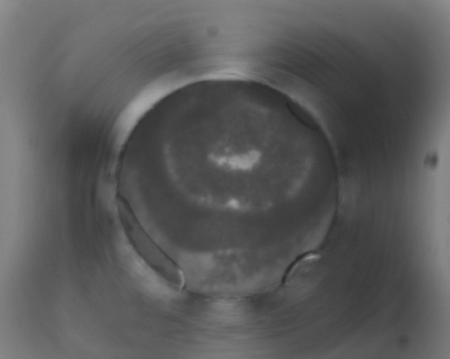 X0000113851480200910221408