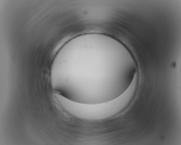 X0000113851481200910221408