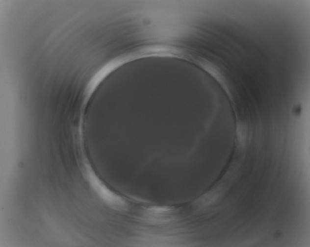 X0000113851482200910221408