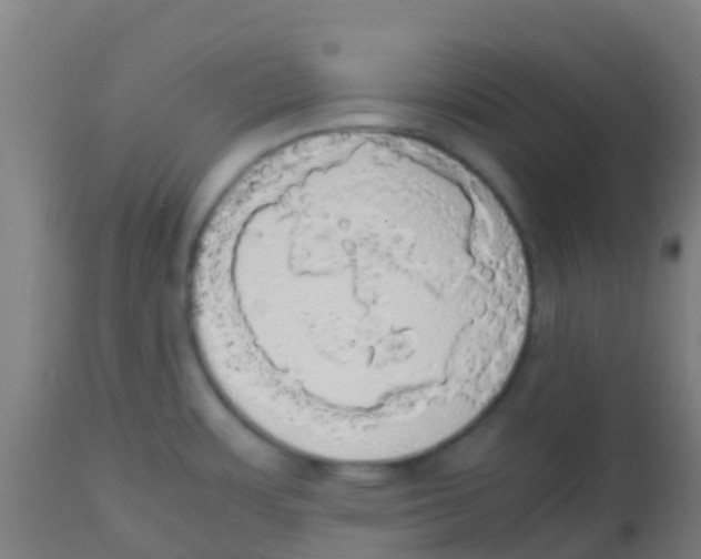 X0000113851483200910221408