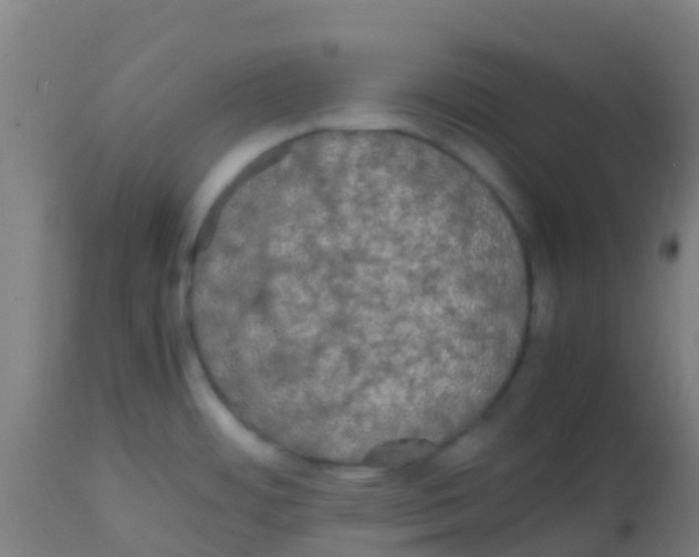 X0000113851484200910221408