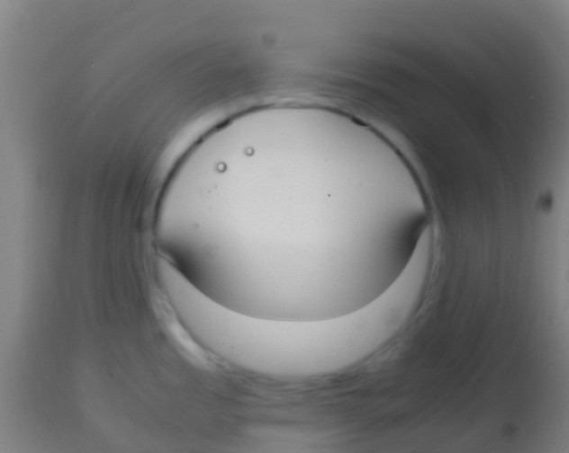 X0000113851485200910221408