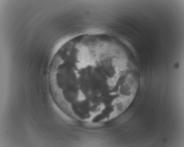 X0000113851487200910221408