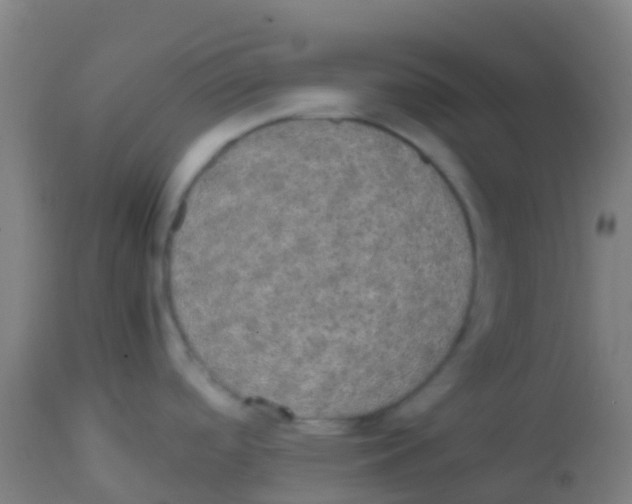 X0000113851488200910221408