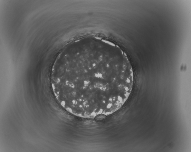 X0000113851489200910221407