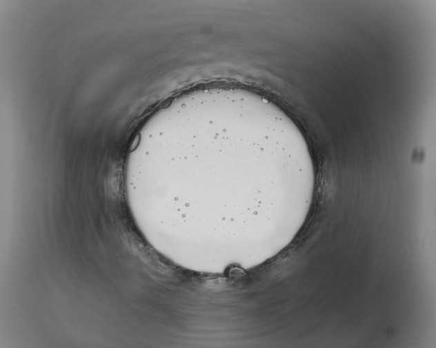 X0000113851490200910221407