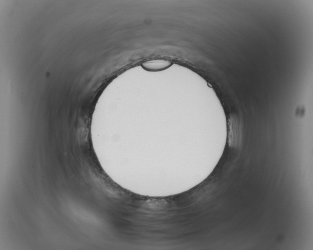 X0000113851491200910221407